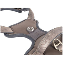 Indlæs billede til gallerivisning Max & Molly Matrix 2,0 Neopren Sele