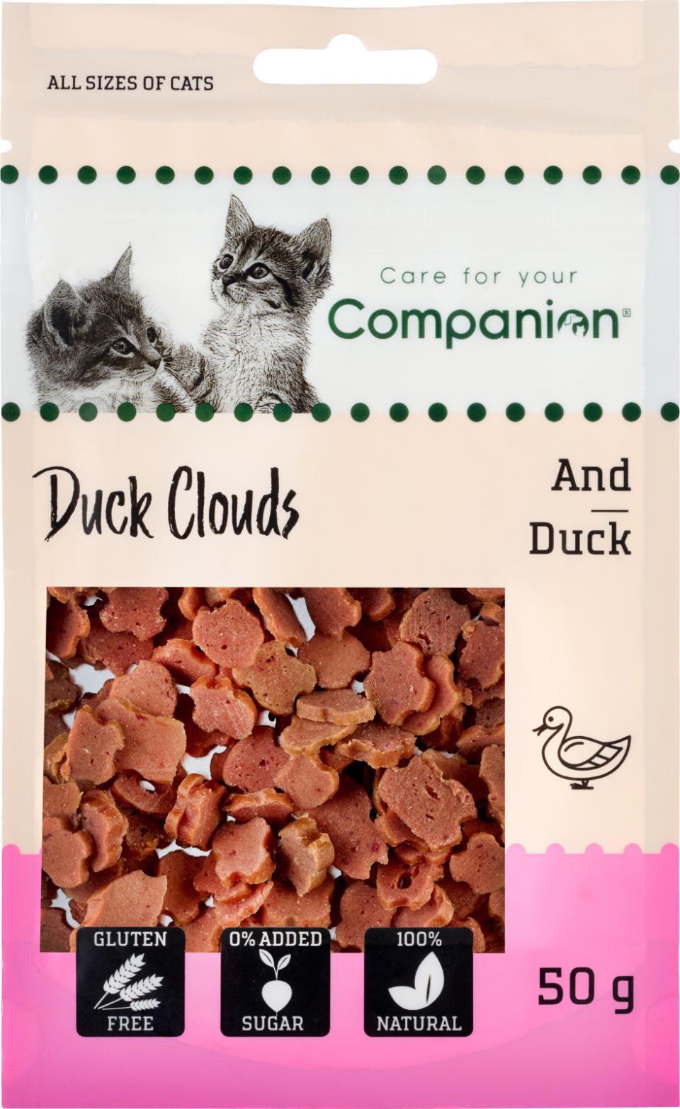 Companion Duck Clouds