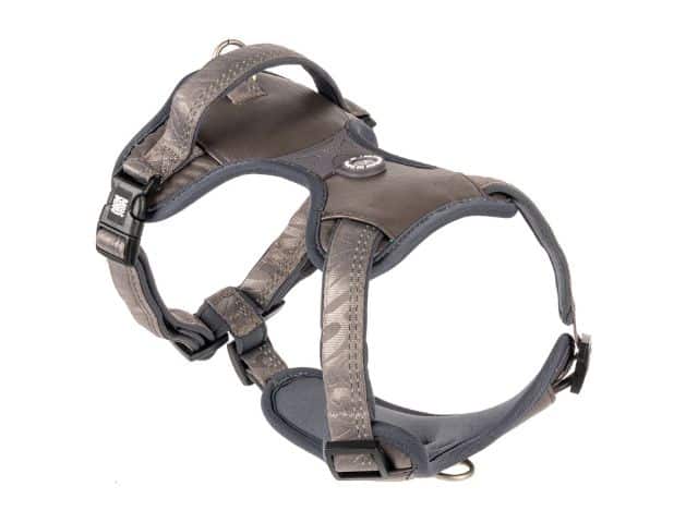 Max & Molly Matrix 2,0 Neopren Sele